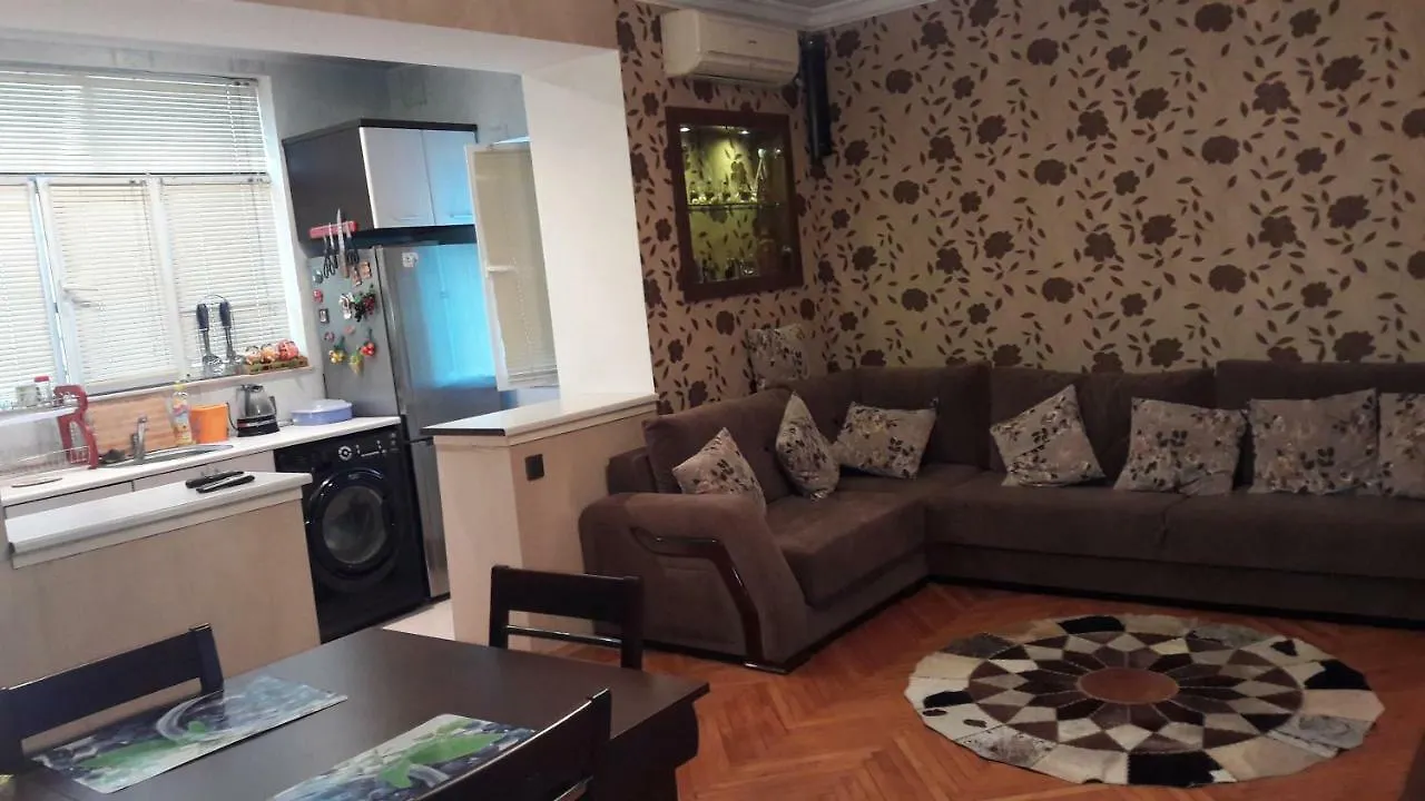 Comfortable, Close Center Baku Apartment