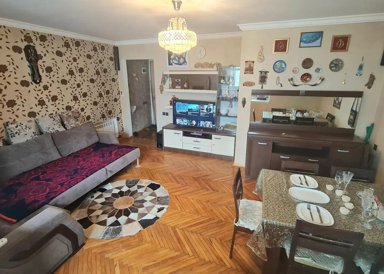 Comfortable, Close Center Baku Apartment